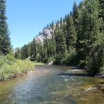 Abbot Campground