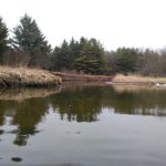 River Ridge MHP