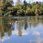 Water Tower RV Park