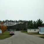 White Birch Estates