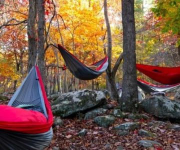 Why I Switched from a Tent to a Hammock for Appalachian Trail Section Hikes