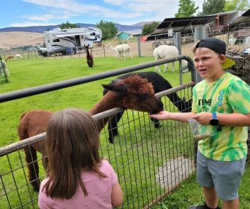 Camping at a Harvest Host Alpaca Farm Overnight Stay Experience
