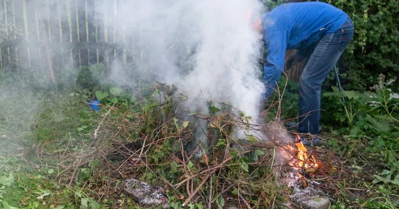 Why You Should Never Burn Poison Ivy (And Other Firewood Danger Signs)